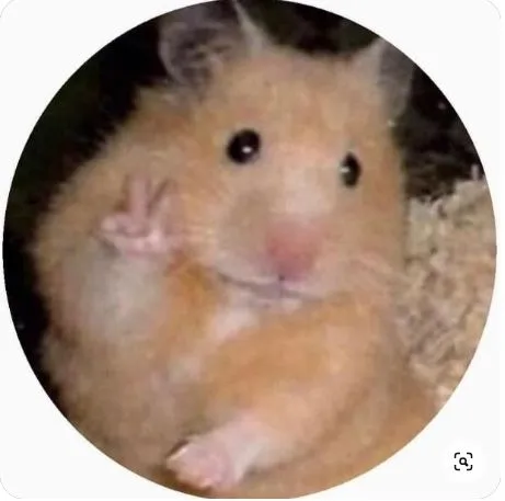 أحمد زروقي